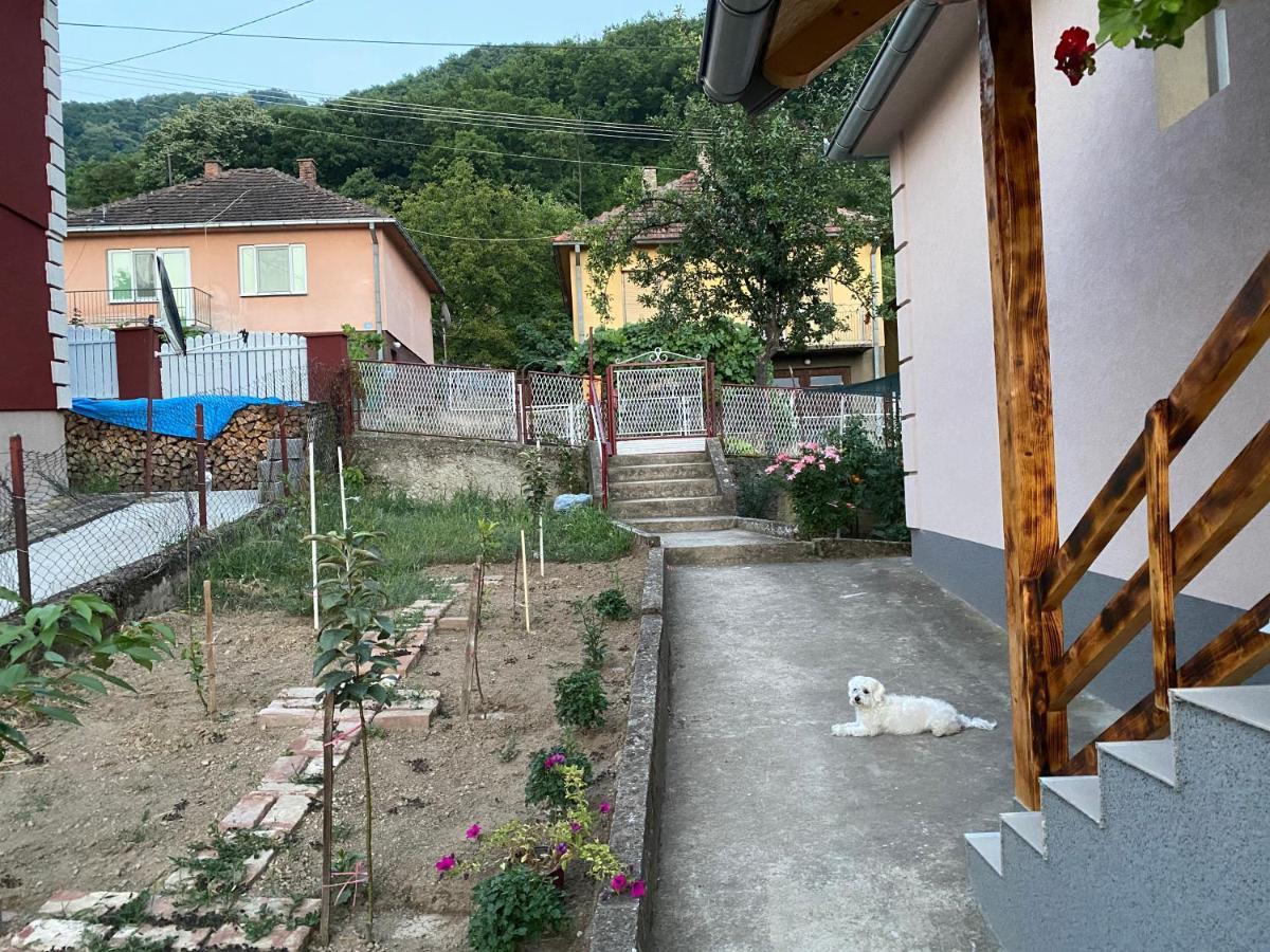 Smestaj Zeka Tekija Tekija  Luaran gambar